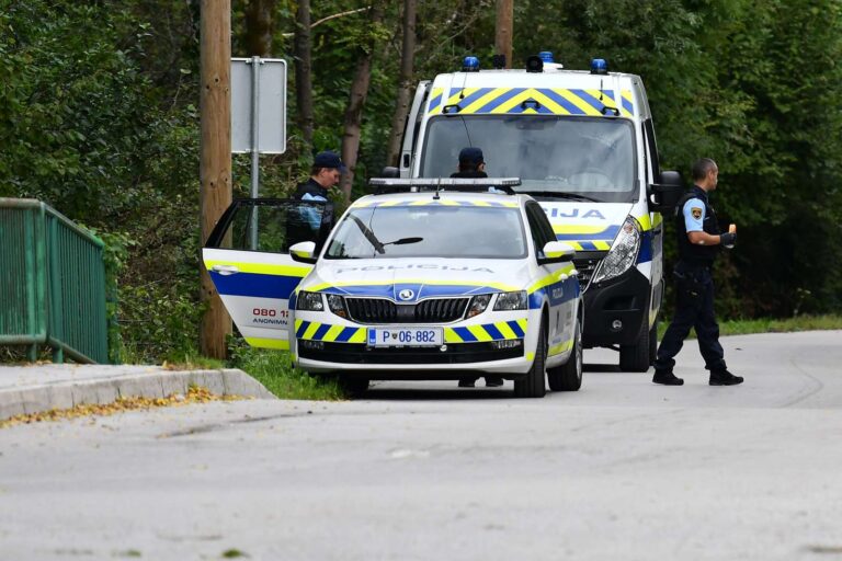 Novo mesto Police Department: Police tracked down and arrested nine illegal migrants